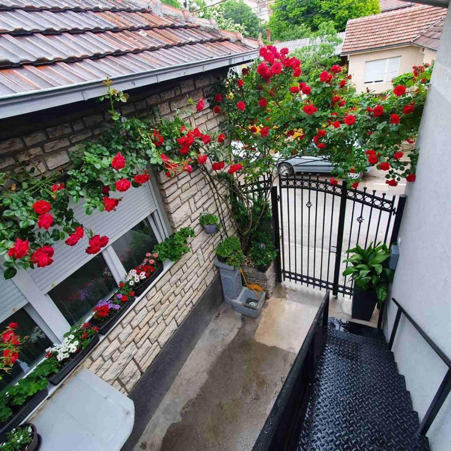 Fortress Apartments Ni Exteriér fotografie